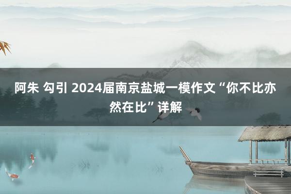 阿朱 勾引 2024届南京盐城一模作文“你不比亦然在比”详解