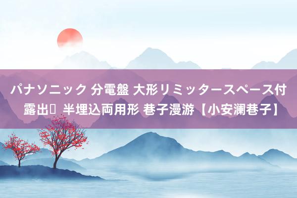 パナソニック 分電盤 大形リミッタースペース付 露出・半埋込両用形 巷子漫游【小安澜巷子】