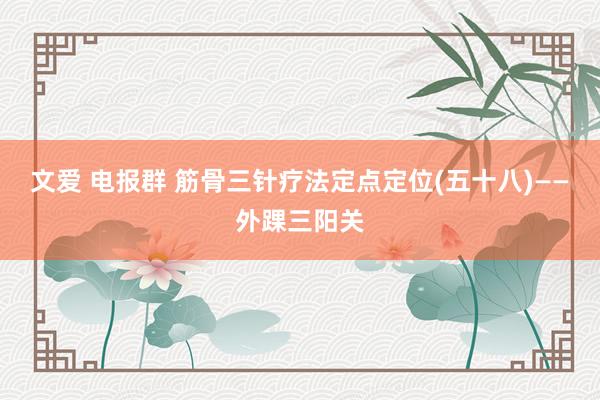 文爱 电报群 筋骨三针疗法定点定位(五十八)——外踝三阳关
