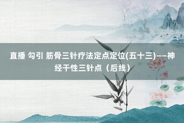 直播 勾引 筋骨三针疗法定点定位(五十三)——神经干性三针点（后线）