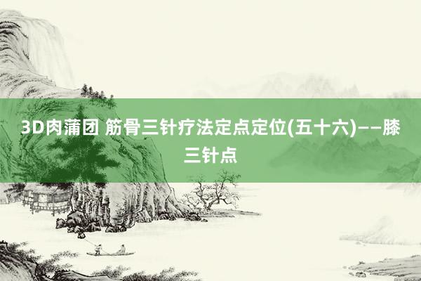 3D肉蒲团 筋骨三针疗法定点定位(五十六)——膝三针点
