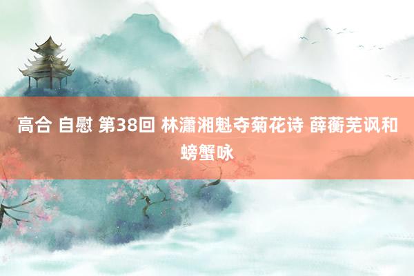 高合 自慰 第38回 林瀟湘魁夺菊花诗 薛蘅芜讽和螃蟹咏