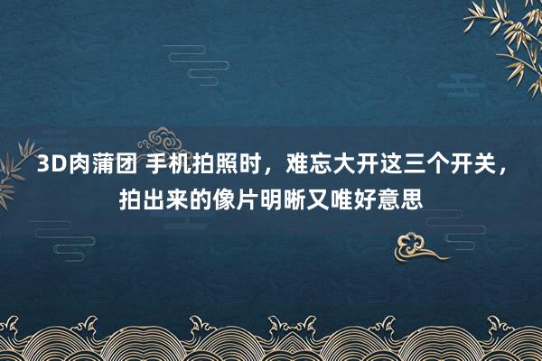 3D肉蒲团 手机拍照时，难忘大开这三个开关，拍出来的像片明晰又唯好意思